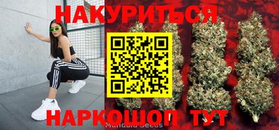 герыч Кингисепп