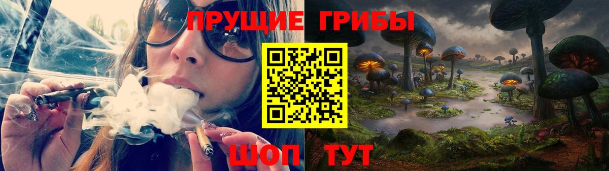 закладки  Вход с VPN  Псилоцибиновые грибы MAGIC MUSHROOMS  Барабинск  Псилоцибиновые грибы Psilocybe 
